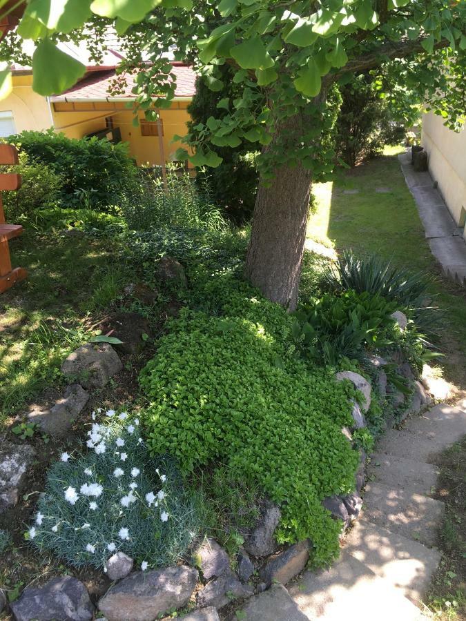 Bogoly Apartman Tokaj Exterior foto